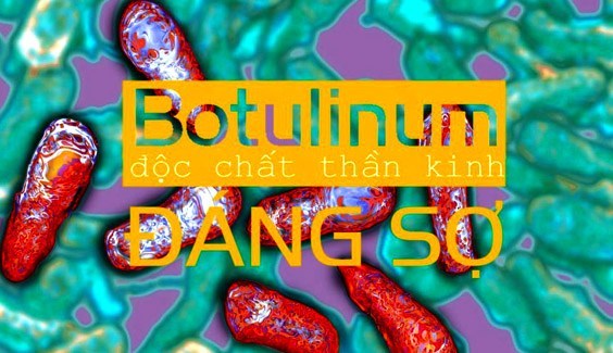 Hướng dẫn tạm thời chẩn đoán, điều trị ngộ độc botulinum
